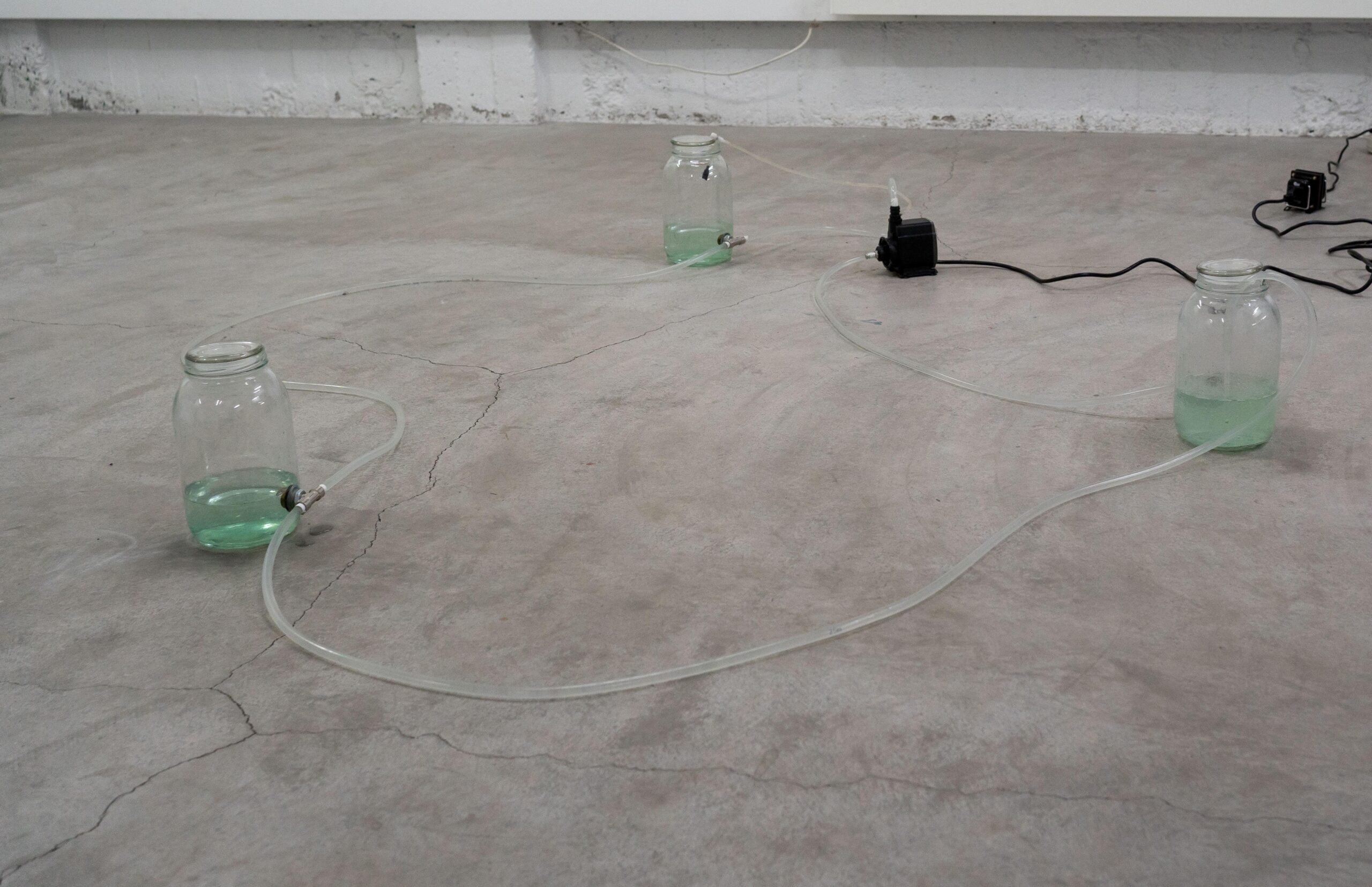 Untitled Testosterone, image 2 of 2